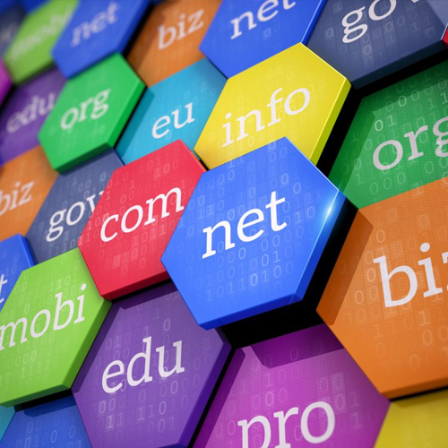 Low Cost Domain Name Registration in Tamilnadu